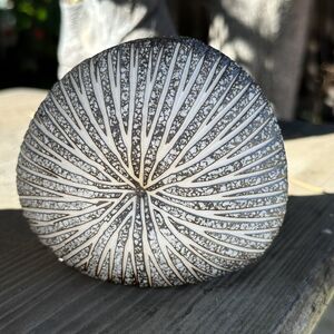 Diva Porcelain Mini Ceramic Bud Vase Stripe Handmade Organic Beachy